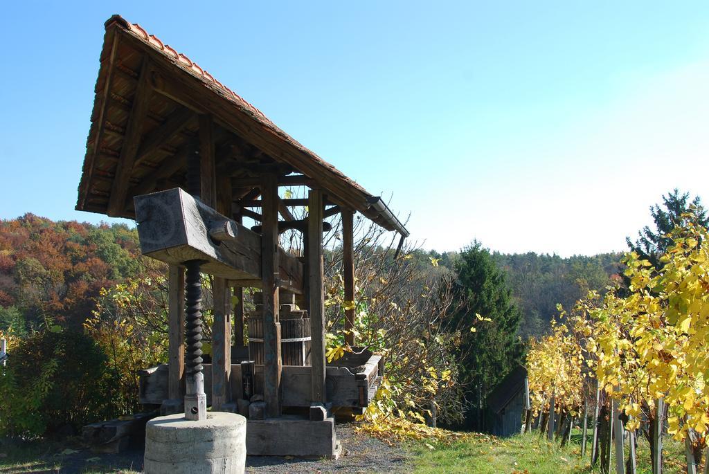 Winzerhof Familie Kloeckl Apartment Klöch Екстериор снимка