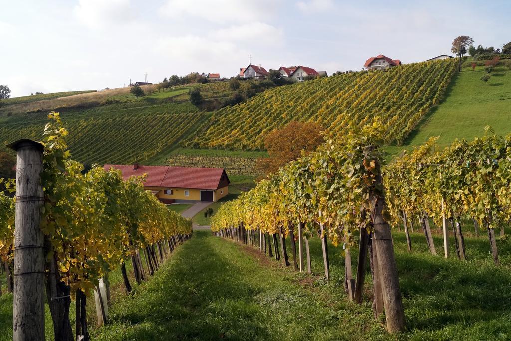 Winzerhof Familie Kloeckl Apartment Klöch Екстериор снимка