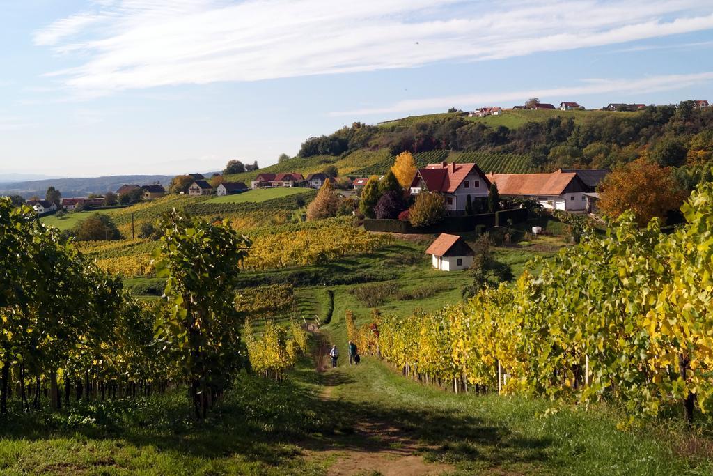 Winzerhof Familie Kloeckl Apartment Klöch Екстериор снимка