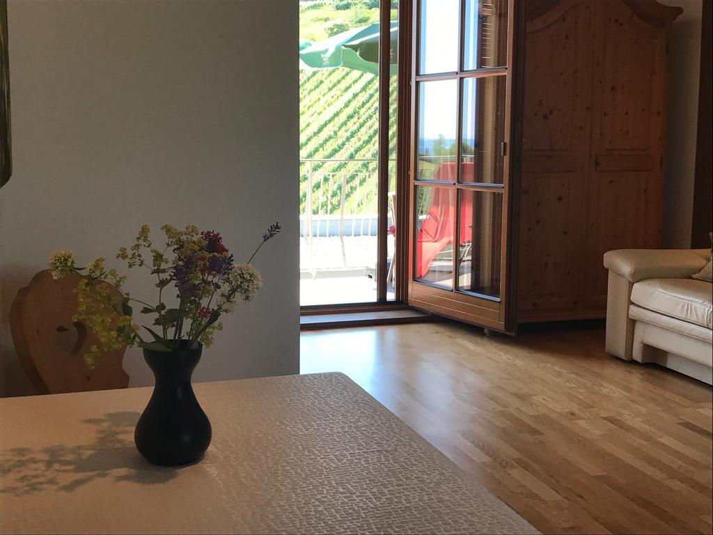 Winzerhof Familie Kloeckl Apartment Klöch Екстериор снимка