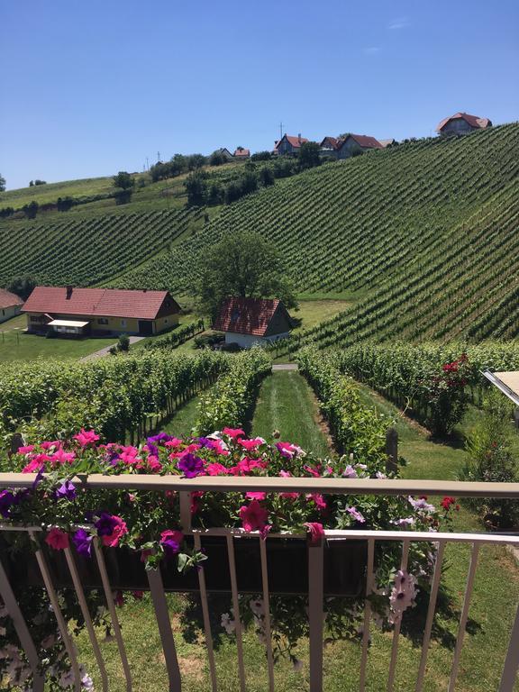 Winzerhof Familie Kloeckl Apartment Klöch Екстериор снимка
